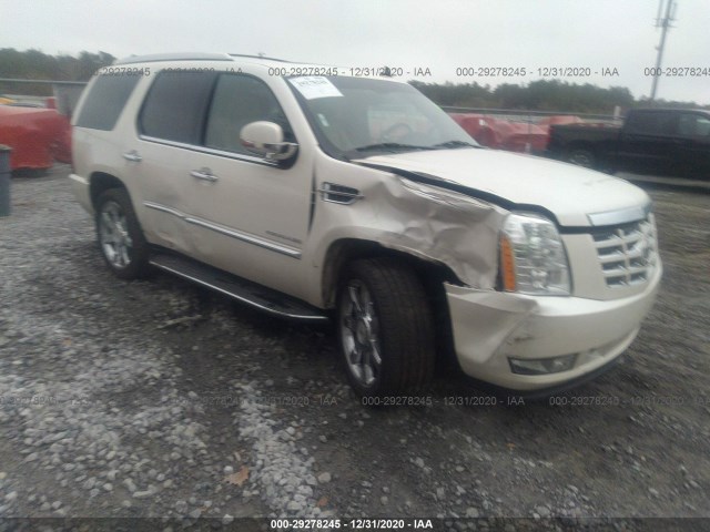 cadillac escalade 2011 1gys3bef3br352152