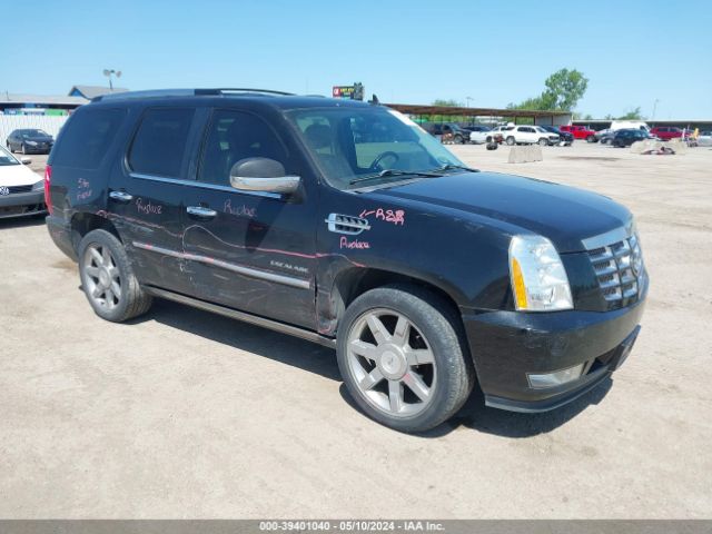 cadillac escalade 2011 1gys3cefxbr101652