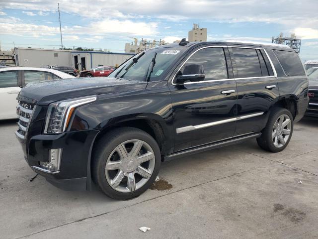 cadillac escalade p 2019 1gys3ckj2kr123119