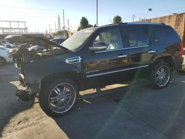 cadillac escalade h 2011 1gys3eej5br278061