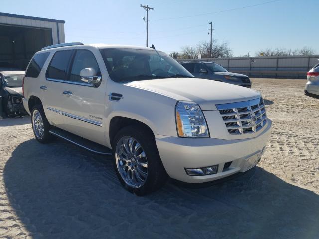 cadillac escalade 2011 1gys4aef7br369124