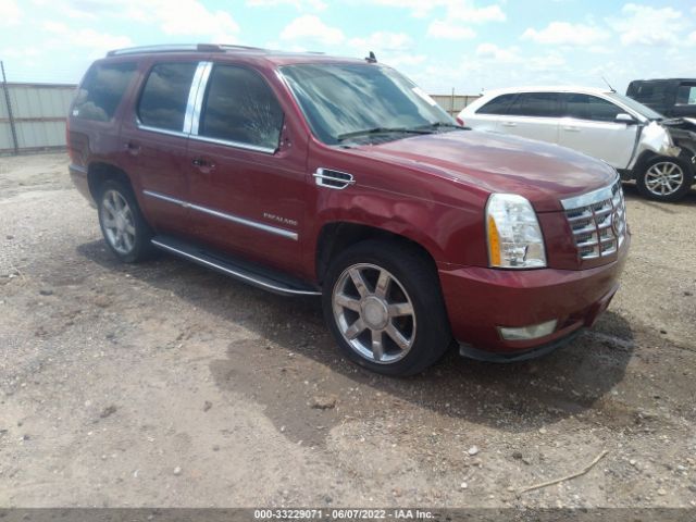 cadillac escalade 2011 1gys4bef0br161253