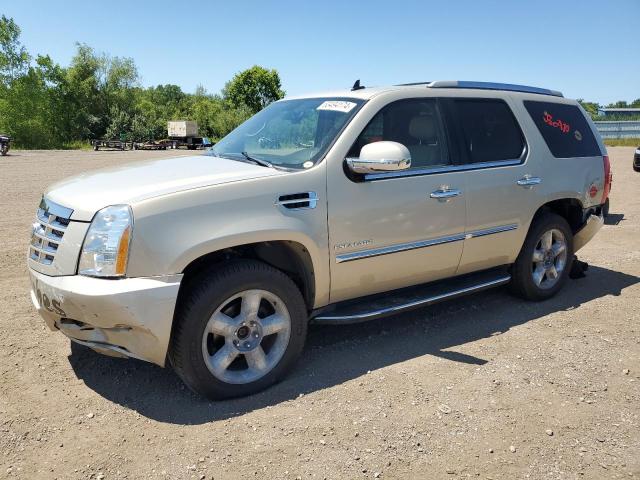 cadillac escalade 2011 1gys4bef1br333063