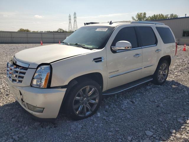 cadillac escalade l 2014 1gys4bef1er117122