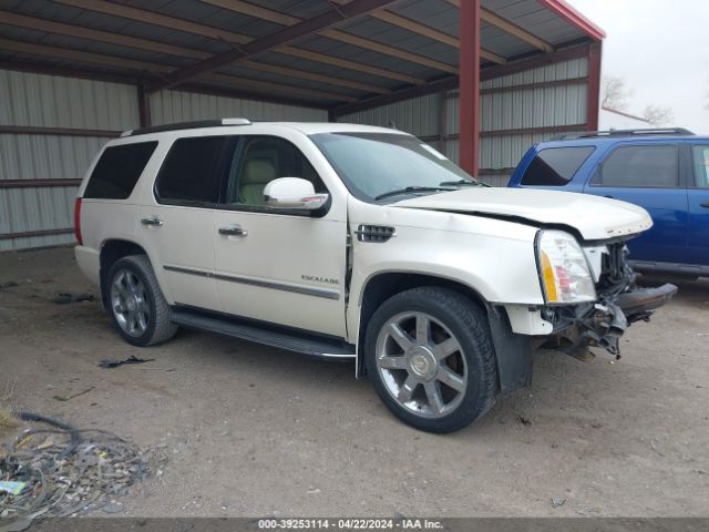 cadillac escalade 2011 1gys4bef4br271593