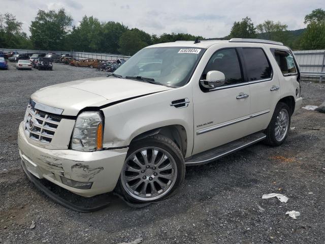 cadillac escalade 2011 1gys4bef6br103213