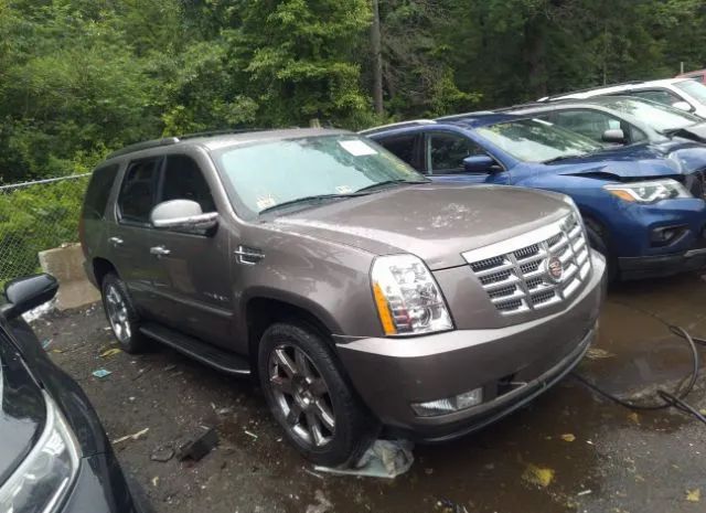 cadillac escalade 2011 1gys4bef6br126586