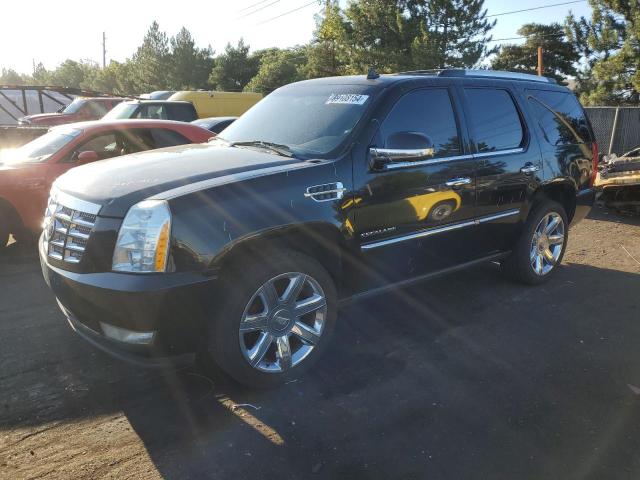 cadillac escalade p 2011 1gys4cef2br171532