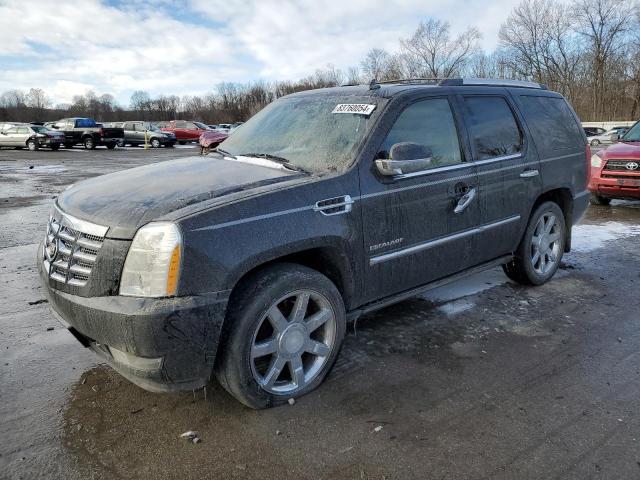 cadillac escalade p 2011 1gys4cef4br131467