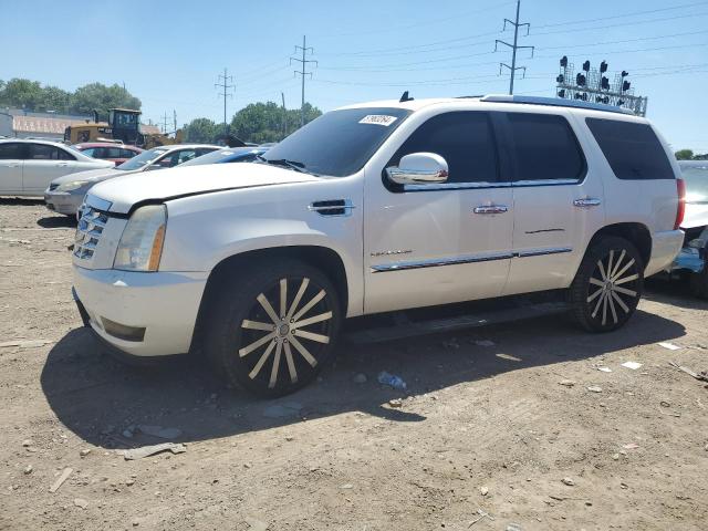 cadillac escalade p 2011 1gys4cef4br211724