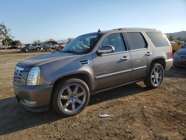 cadillac escalade p 2011 1gys4cef5br289333