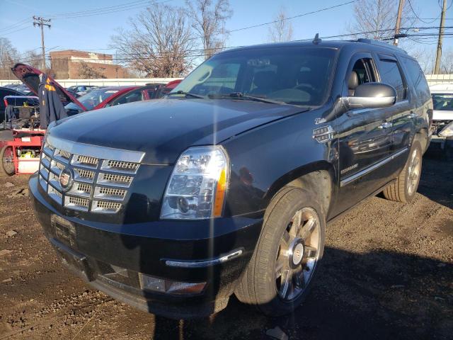 cadillac escalade 2011 1gys4cef6br357431