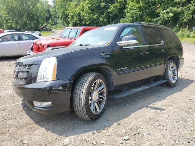 cadillac escalade p 2013 1gys4cef6dr268087