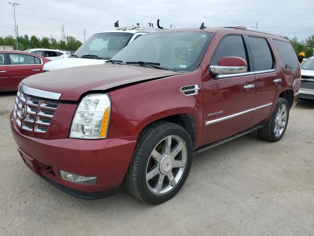 cadillac escalade 2011 1gys4cef9br133859