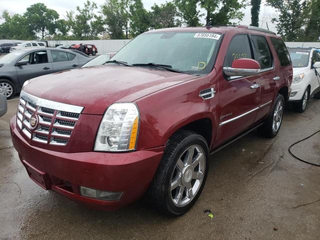 cadillac escalade p 2011 1gys4cef9br139435