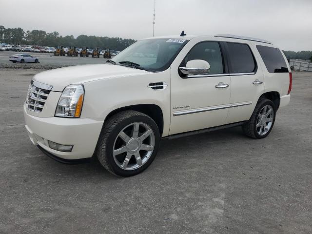 cadillac escalade p 2011 1gys4cef9br347735