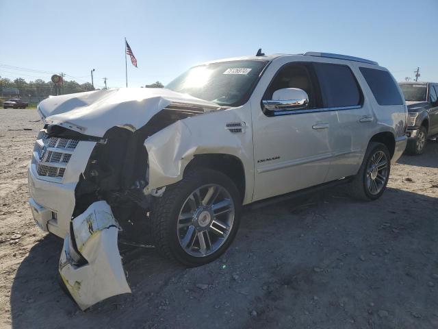 cadillac escalade p 2014 1gys4cef9er243444