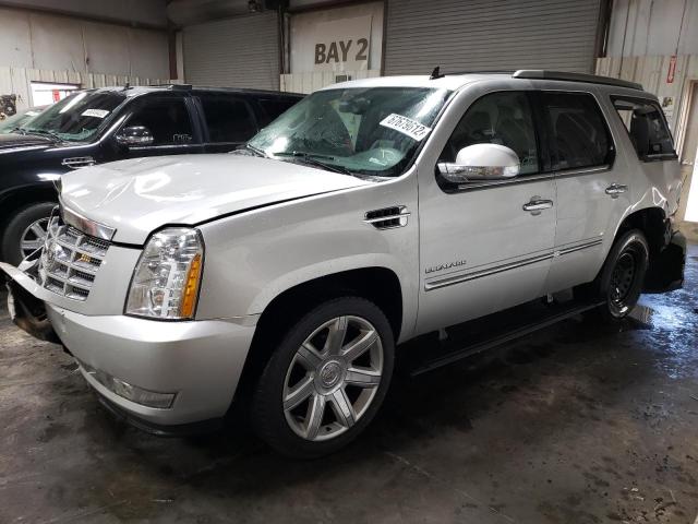 cadillac escalade p 2011 1gys4cefxbr116231