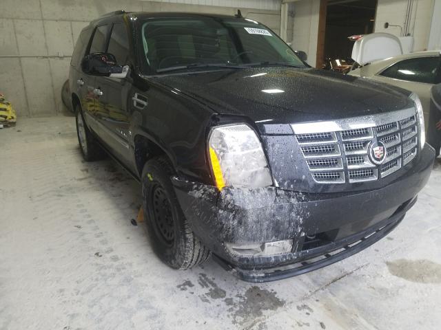 cadillac escalade p 2011 1gys4cefxbr131800