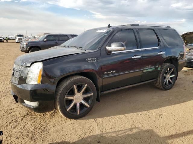 cadillac escalade p 2014 1gys4cefxer139917