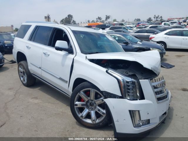 cadillac escalade 2019 1gys4ckj6kr228436