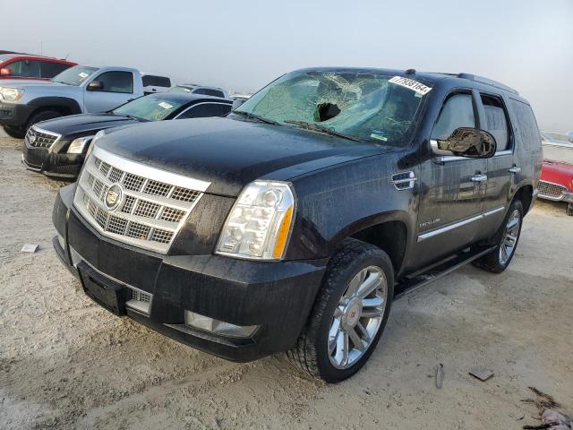 cadillac escalade p 2013 1gys4def2dr218650