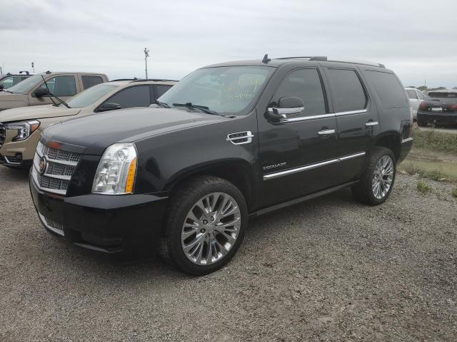 cadillac escalade p 2011 1gys4def5br295445