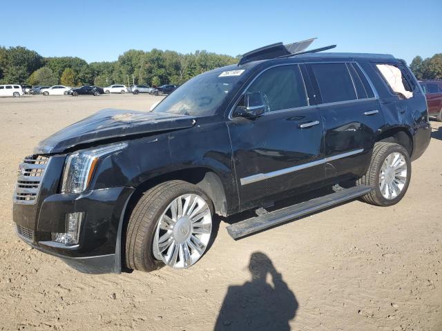 cadillac escalade p 2019 1gys4dkj0kr257811