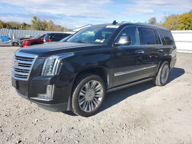 cadillac escalade p 2017 1gys4dkj3hr261666