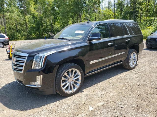 cadillac escalade p 2019 1gys4dkj5kr232760