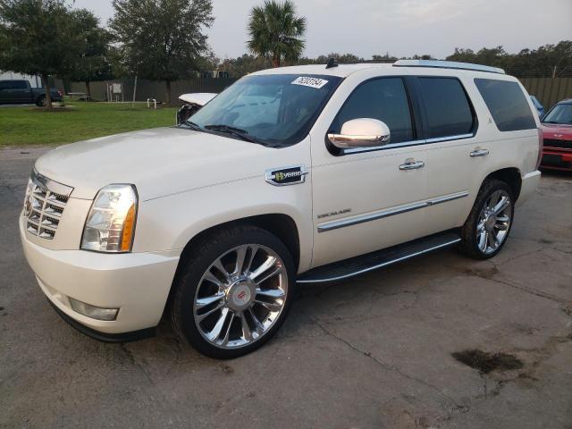 cadillac escalade h 2013 1gys4eej3dr120768