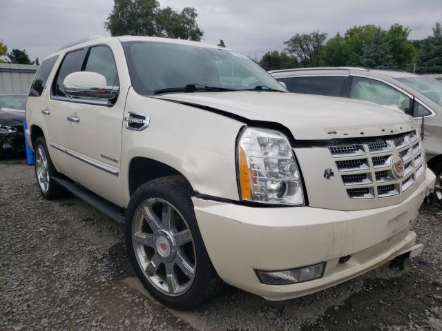 cadillac escalade h 2013 1gys4eejxdr147188