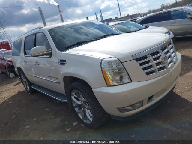 cadillac escalade esv 2011 1gys4hef2br162147