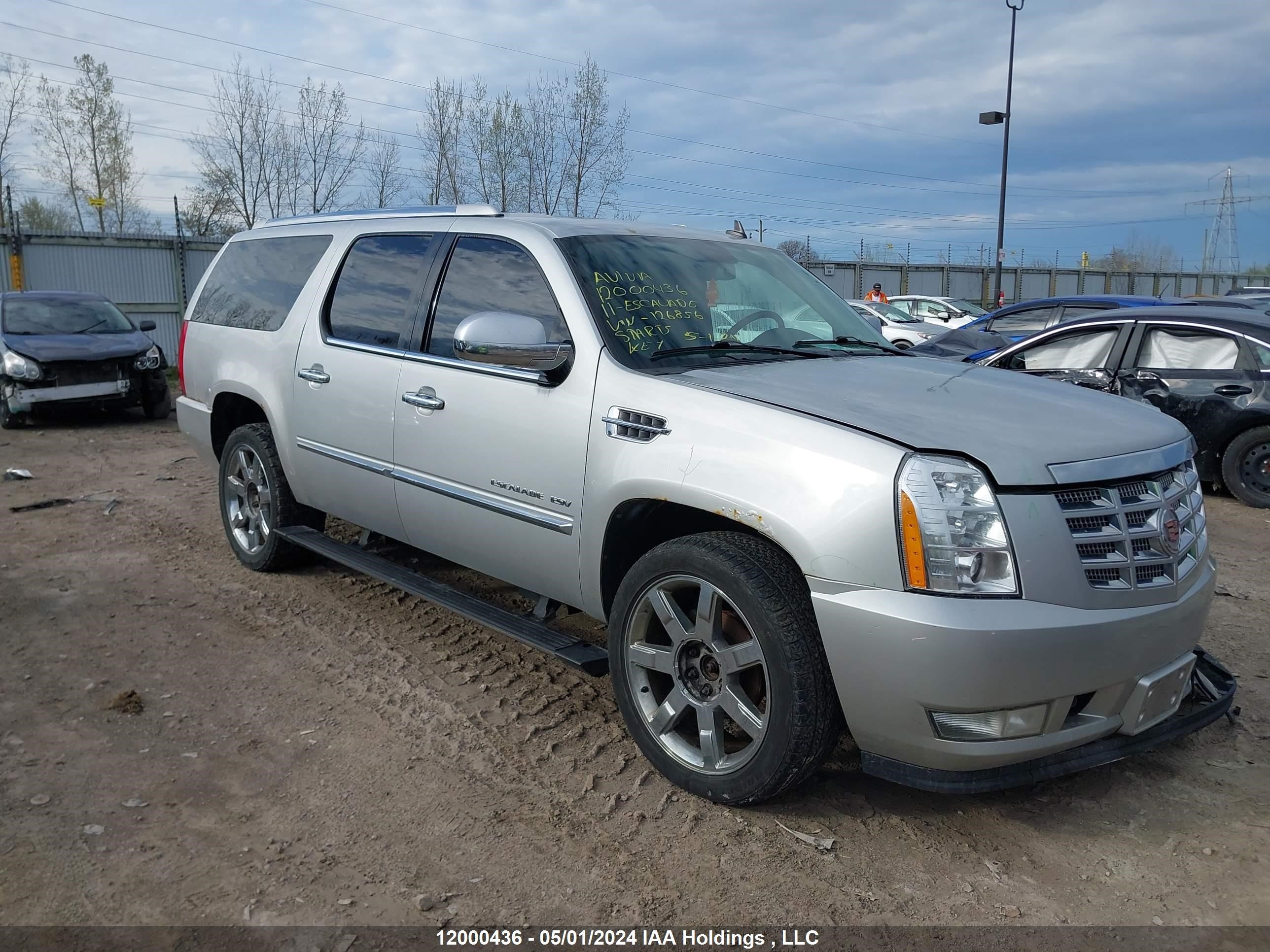 cadillac escalade 2011 1gys4jef6br126856