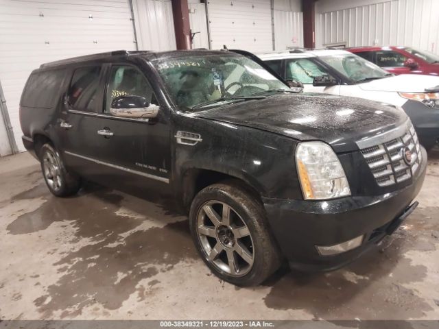 cadillac escalade esv 2011 1gys4jef6br193134