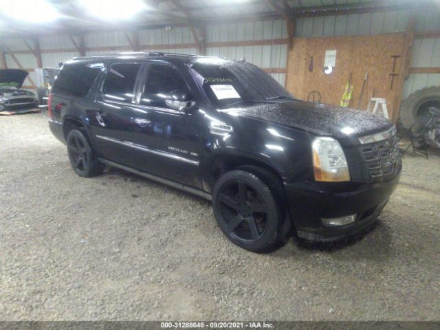 cadillac escalade esv 2011 1gys4jef8br323625