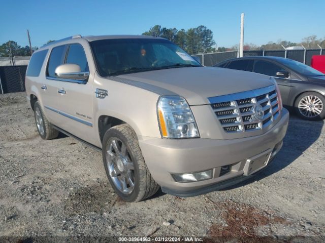 cadillac escalade esv 2011 1gys4jefxbr194285