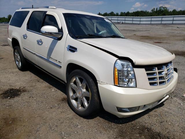 cadillac escalade e 2011 1gys4jefxbr328793