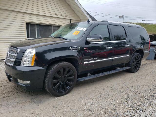 cadillac escalade e 2011 1gys4kef9br385508