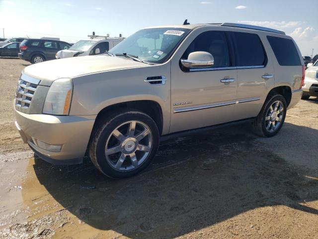 cadillac escalade p 2010 1gyuccef2ar137553