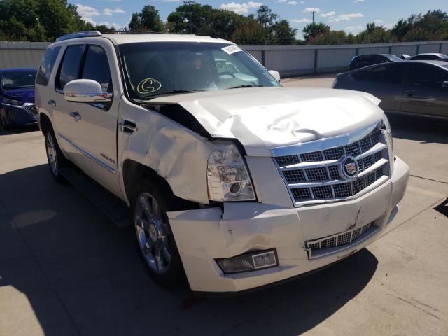 cadillac escalade p 2010 1gyuccef3ar159979