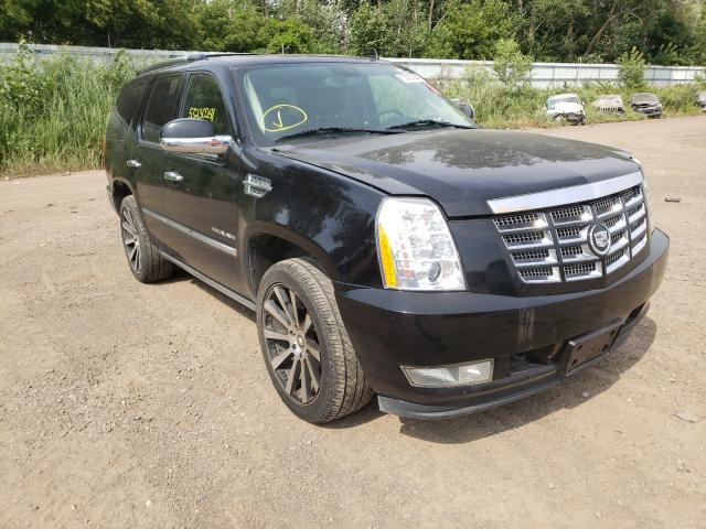 cadillac escalade p 2010 1gyuccef9ar157282