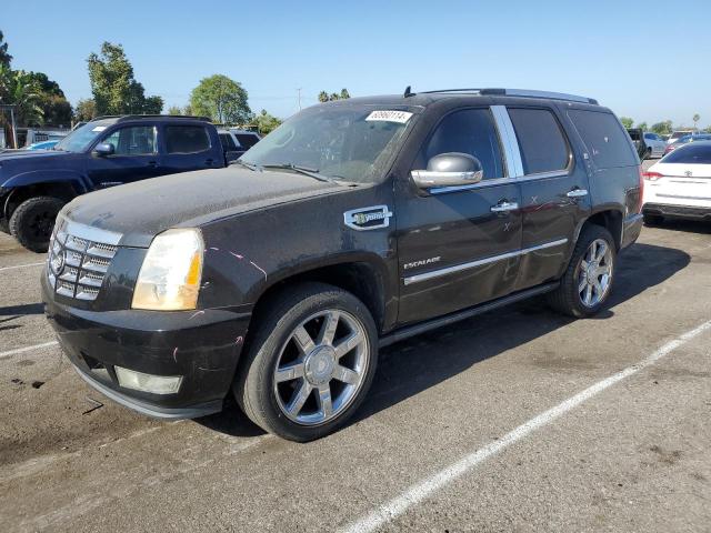 cadillac escalade 2010 1gyuceej3ar172327