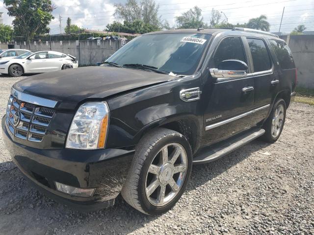 cadillac escalade h 2010 1gyuceej4ar164818