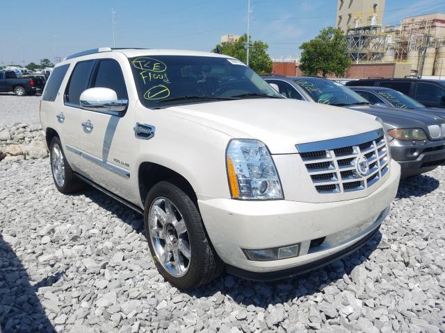 cadillac escalade h 2010 1gyuceej6ar235887