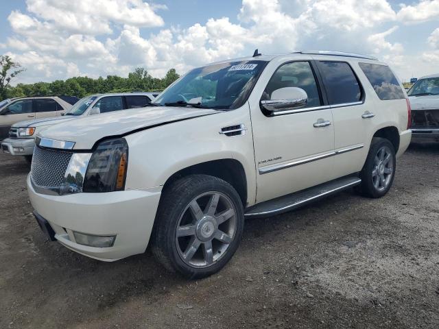 cadillac escalade 2010 1gyukbef1ar133961