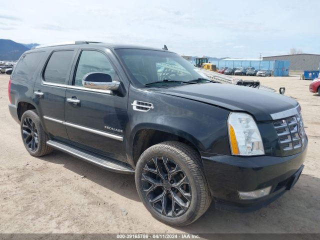 cadillac escalade 2010 1gyukbef3ar201676