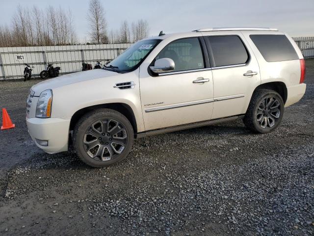 cadillac escalade p 2010 1gyukcef0ar265941