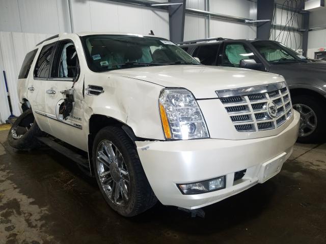 cadillac escalade p 2010 1gyukcef2ar290615