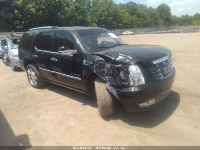 cadillac escalade 2010 1gyukcef3ar157359